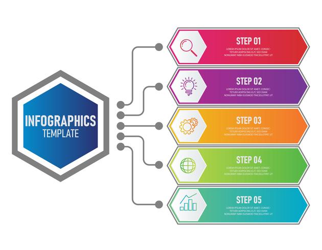 Modèle d&#39;infographie métier vecteur