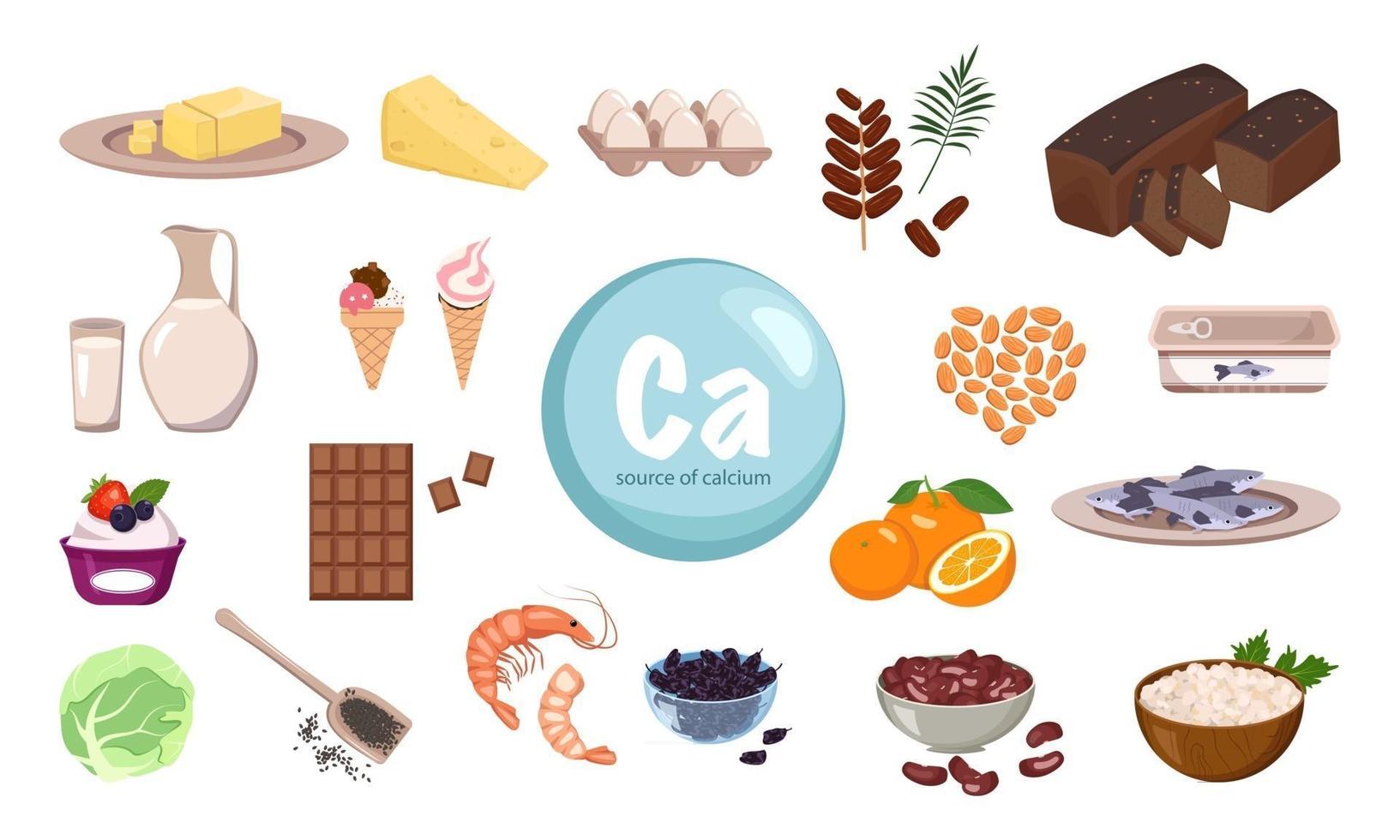 source de calcium. un ensemble de produits laitiers, de noix et de fruits secs. aliments biologiques naturels riches en minéraux. temps pour la santé et les soins. illustration vectorielle plane vecteur