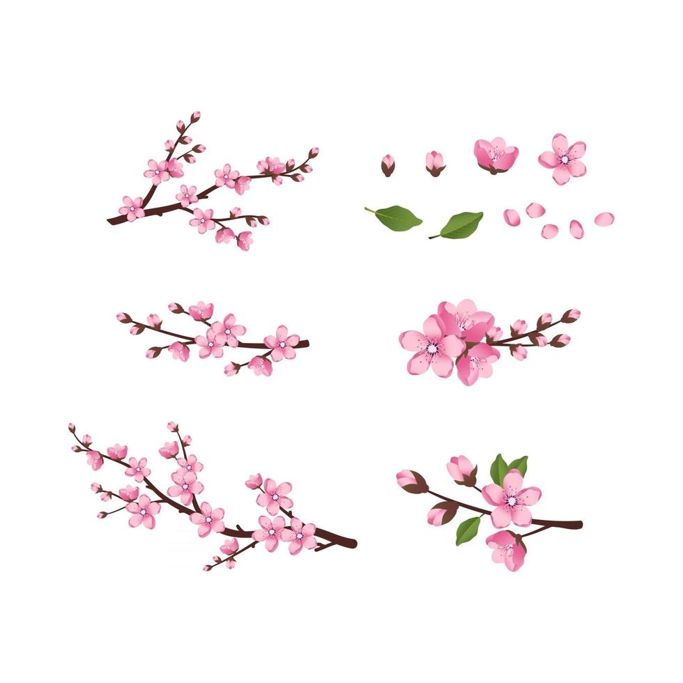 joli jeu d'icônes de fleurs de sakura. les branches de cerisiers ont fleuri. composition florale rose printanière avec bourgeons et feuilles. décorations festives pour mariage, vacances, carte postale, affiche. illustration vectorielle vecteur