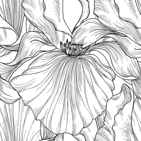 Floral pattern sans soudure. Fond de gravure de fleur iris. vecteur