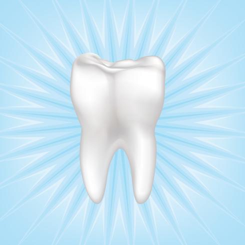 Dent isolée. Signe de dents blanches. Illustration médicale dentaire. vecteur