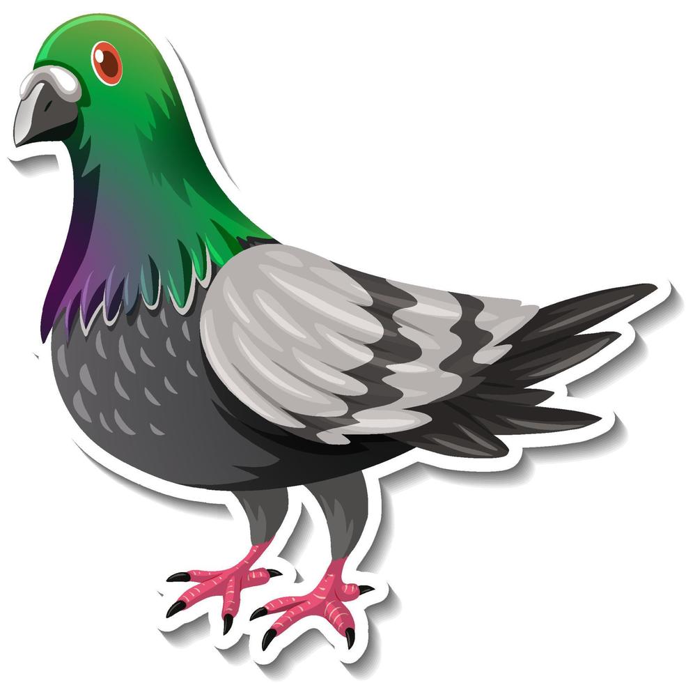 autocollant de dessin animé animal oiseau pigeon vecteur