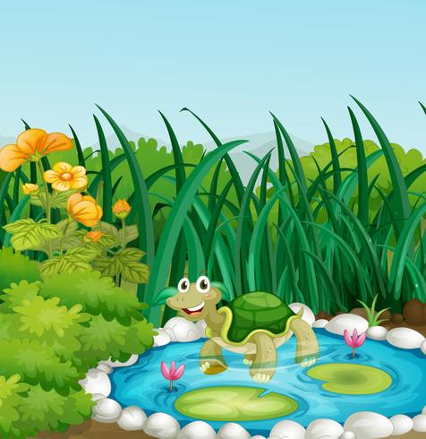 Une tortue dans l&#39;étang avec des nénuphars vecteur