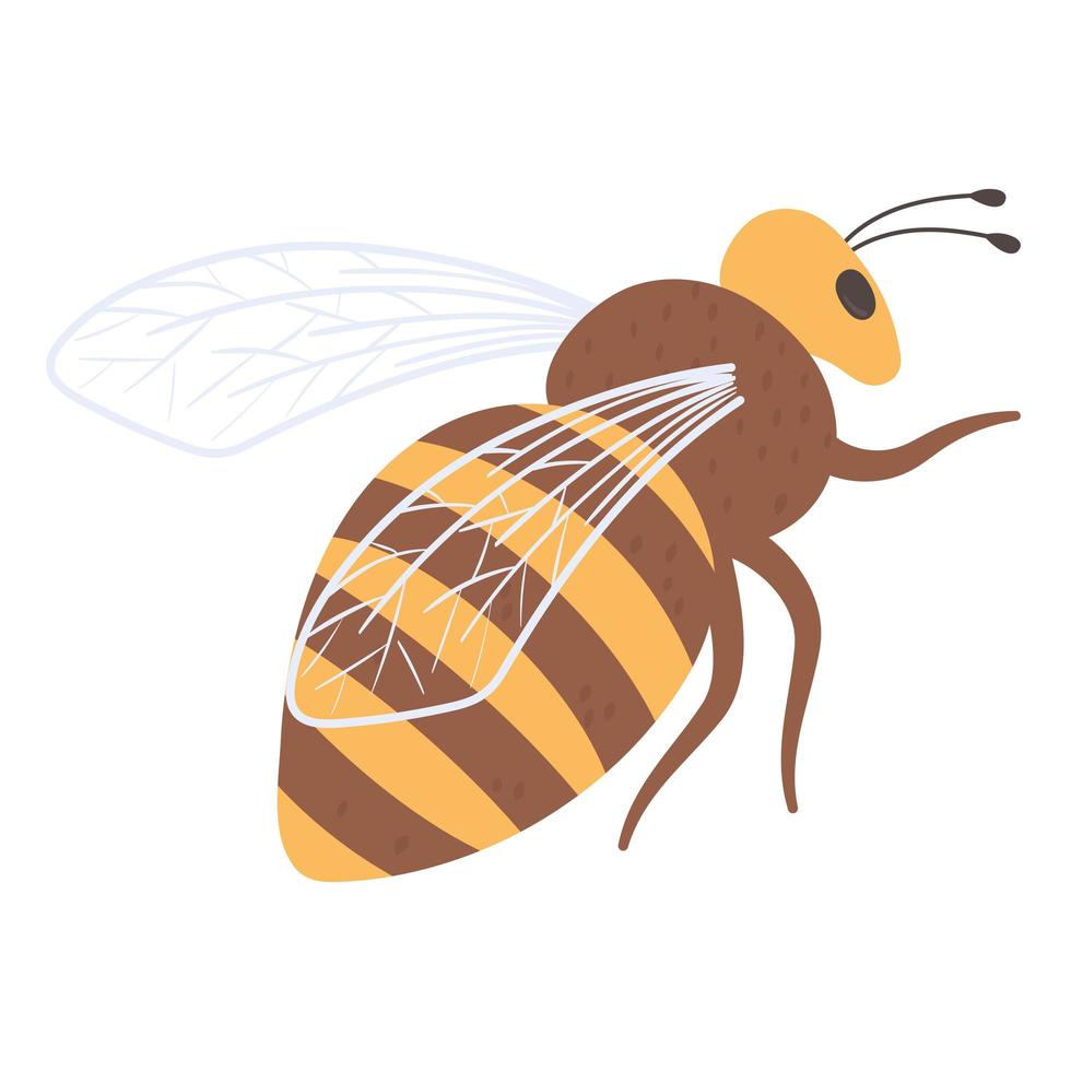 insecte abeille volante vecteur