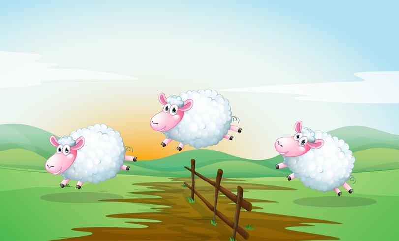 Compter les moutons vecteur