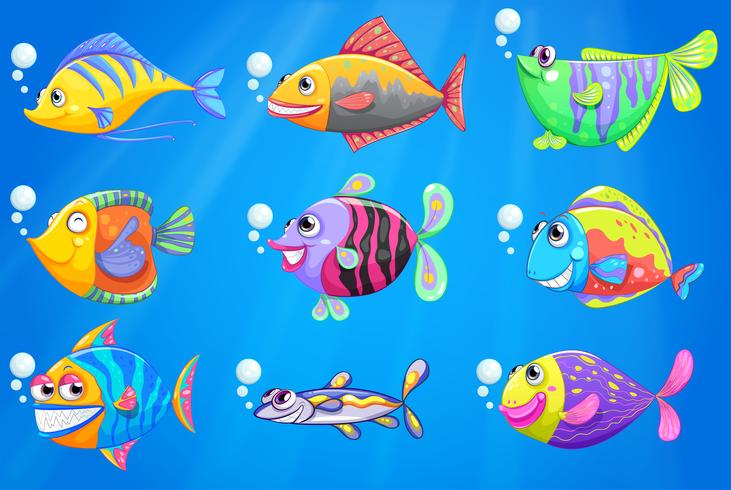 Une mer avec une école de poissons colorés vecteur