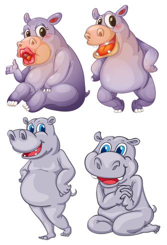 Quatre hippopotames vecteur