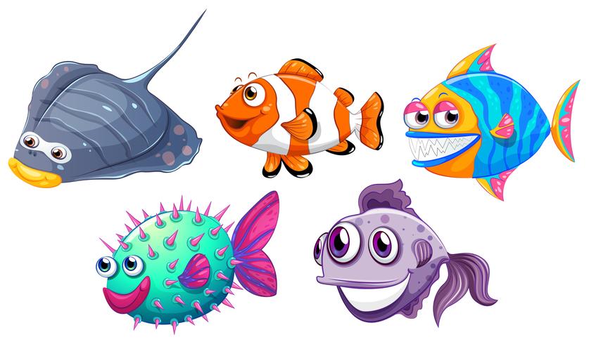 Cinq poissons différents vecteur