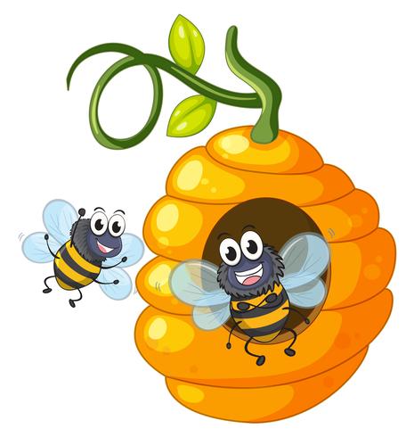 Deux abeilles volant autour d&#39;une ruche vecteur