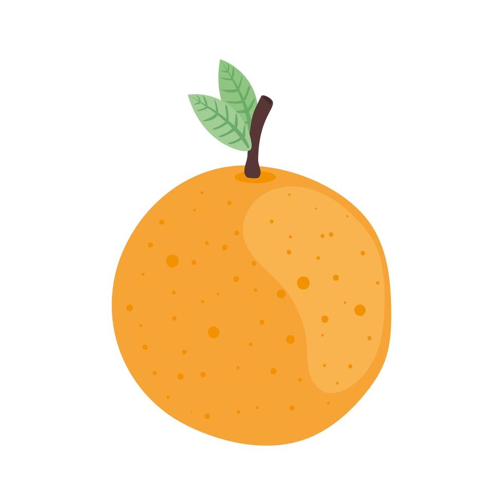 délicieux fruits orange vecteur