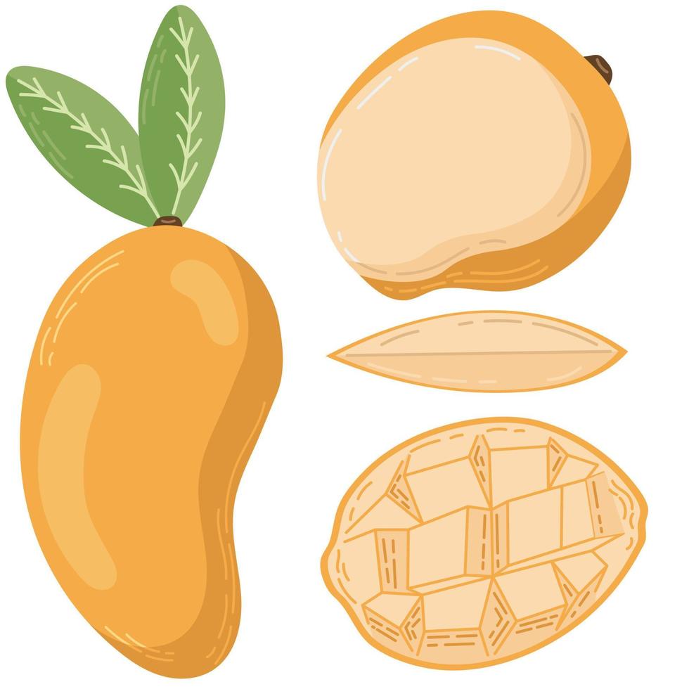 un ensemble de mangues dessinées dans un style plat, des tranches et des moitiés de fruits, de feuilles et d'os. un ensemble d'autocollants aux couleurs pastel vecteur