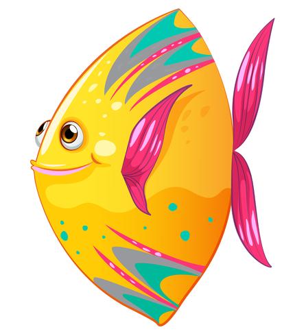 Un gros poisson coloré vecteur