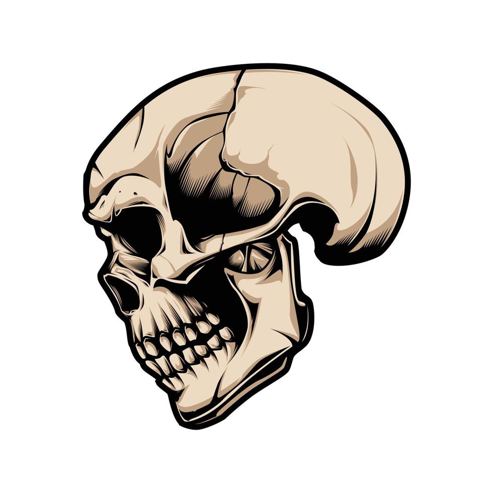illustration vectorielle de crâne humain vecteur