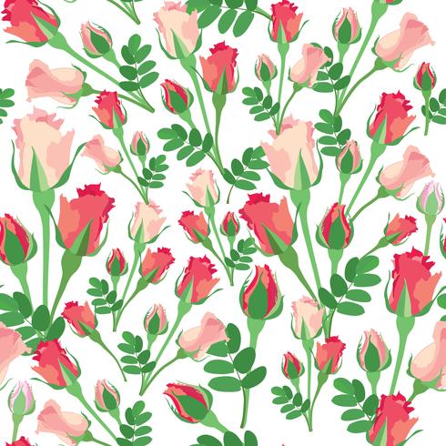 Floral pattern sans soudure. Fleur rose fond vecteur