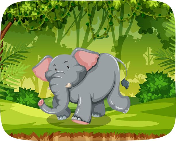 Éléphant mignon dans la scène de la nature vecteur