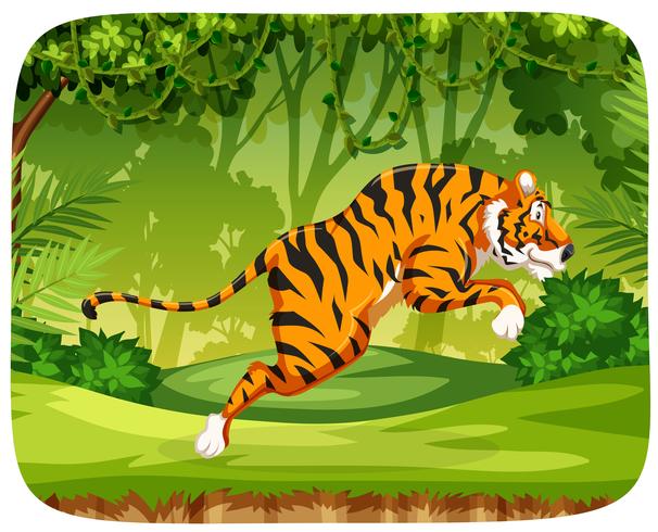 Un tigre sautant en forêt vecteur