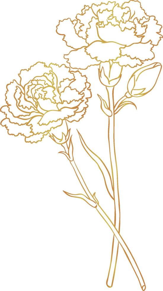 bouquet d'oeillets aux lignes dorées vecteur