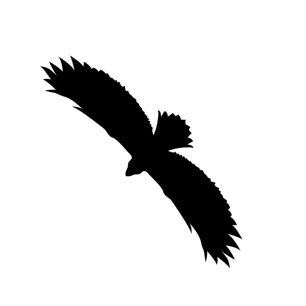 illustration de silhouette d'aigle, logo d'aigle, ensemble de silhouettes d'oiseaux, aigle, conception de silhouette d'aigle, silhouette animale, conception de silhouette vecteur