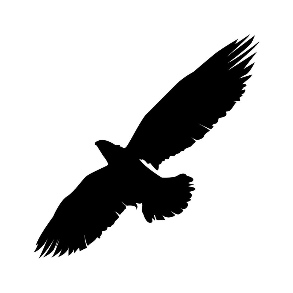 illustration de silhouette d'aigle, logo d'aigle, ensemble de silhouettes d'oiseaux, aigle, conception de silhouette d'aigle, silhouette animale vecteur