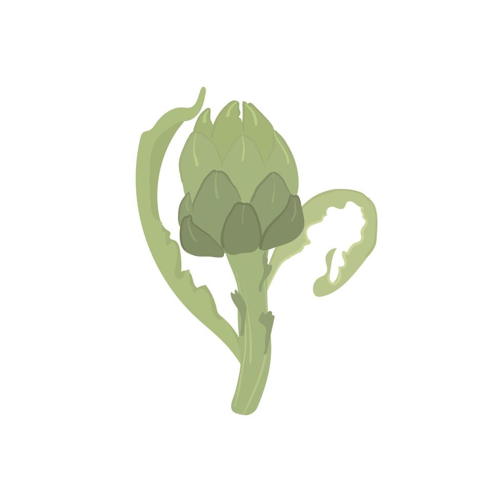 artichaut illustration vectorielle dessinée à la main isolée, légume frais de la ferme naturelle vecteur