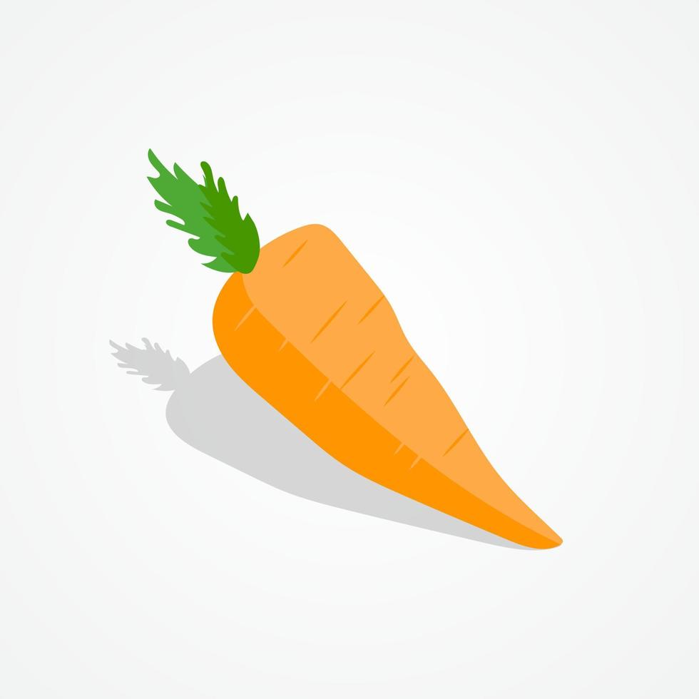 illustration de carotte design plat sur fond isolé vecteur