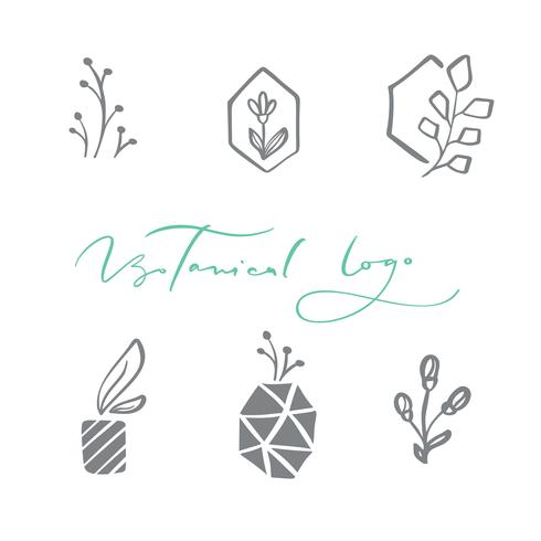 Ensemble de Vector floral Logo scandinave. Main dessinée icône cosmétique bio fleur, mariage fleuriste, décor à la maison. Texte du logo botanique