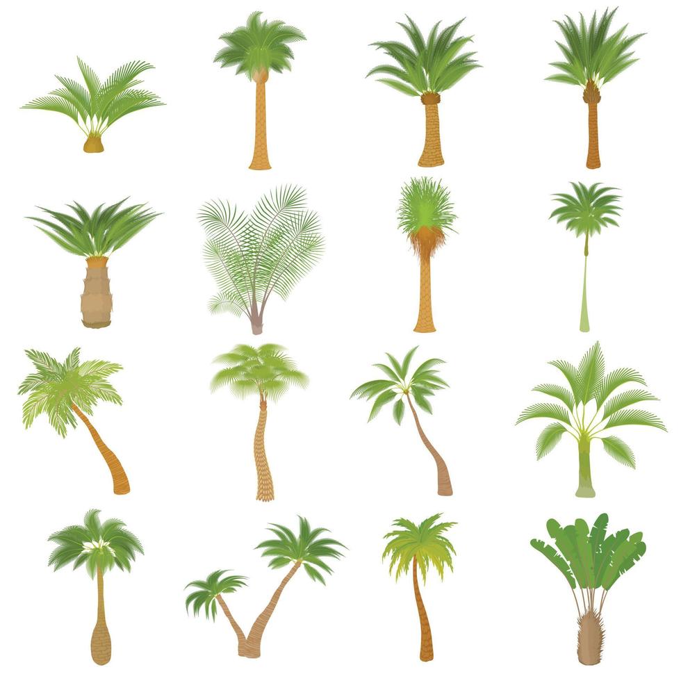ensemble d'icônes de palmiers différents, style dessin animé vecteur