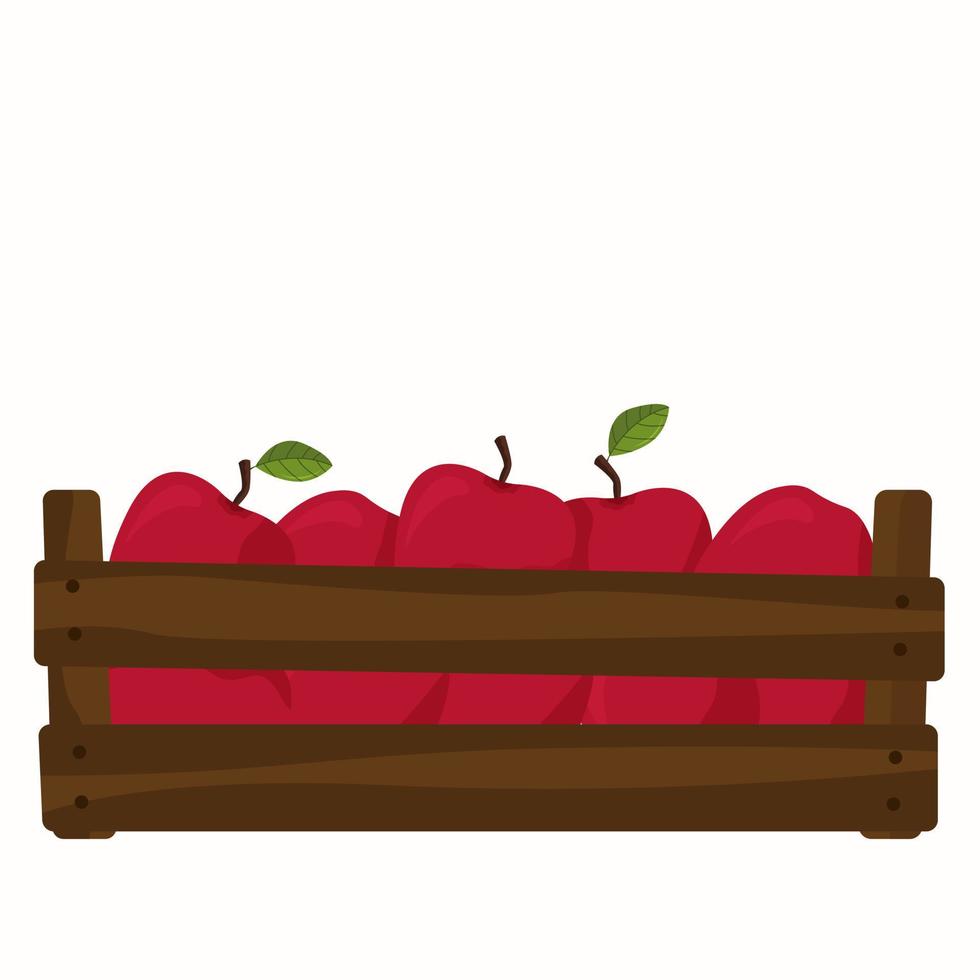 boîte de pommes rouges. récolte des pommes. vecteur