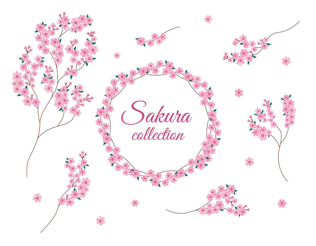 ensemble isolé de branches de fleurs de sakura. collection vectorielle de fleurs de sakura. concevoir des éléments floraux et un cadre rond sur fond blanc vecteur