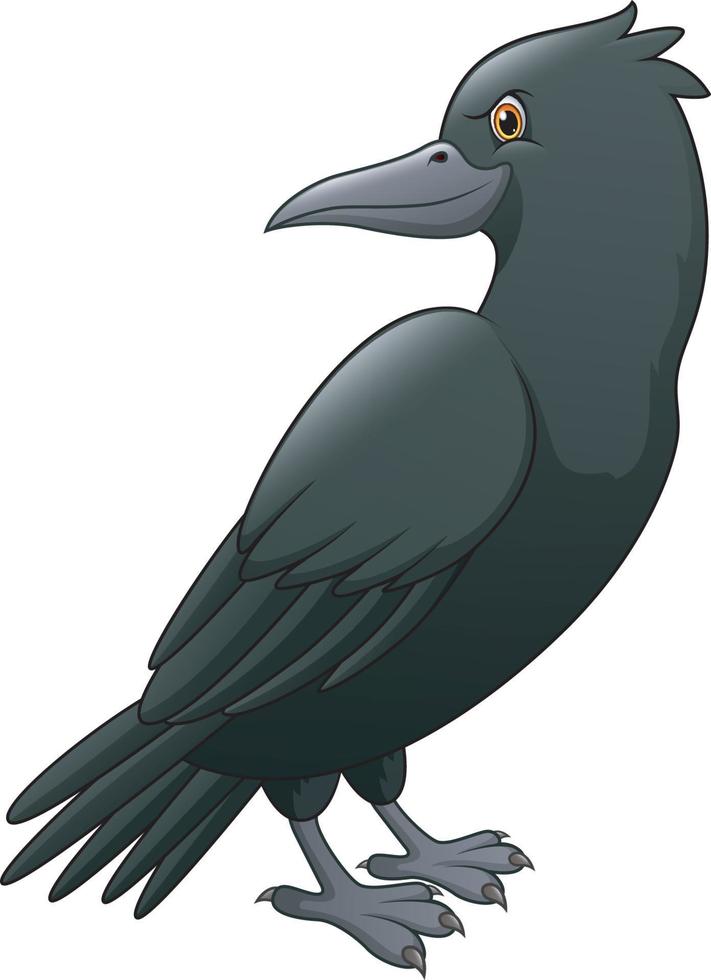 corbeau dessin animé isolé sur fond blanc vecteur