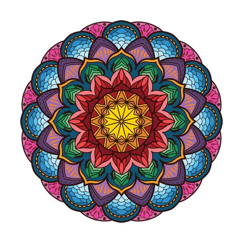 Belle mandala coloré 2 vecteur