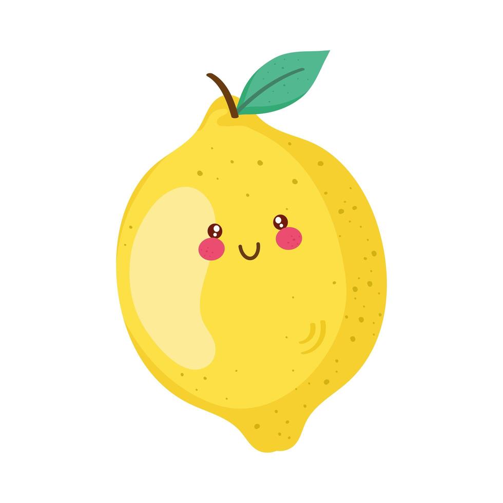 citron fruit citrique vecteur