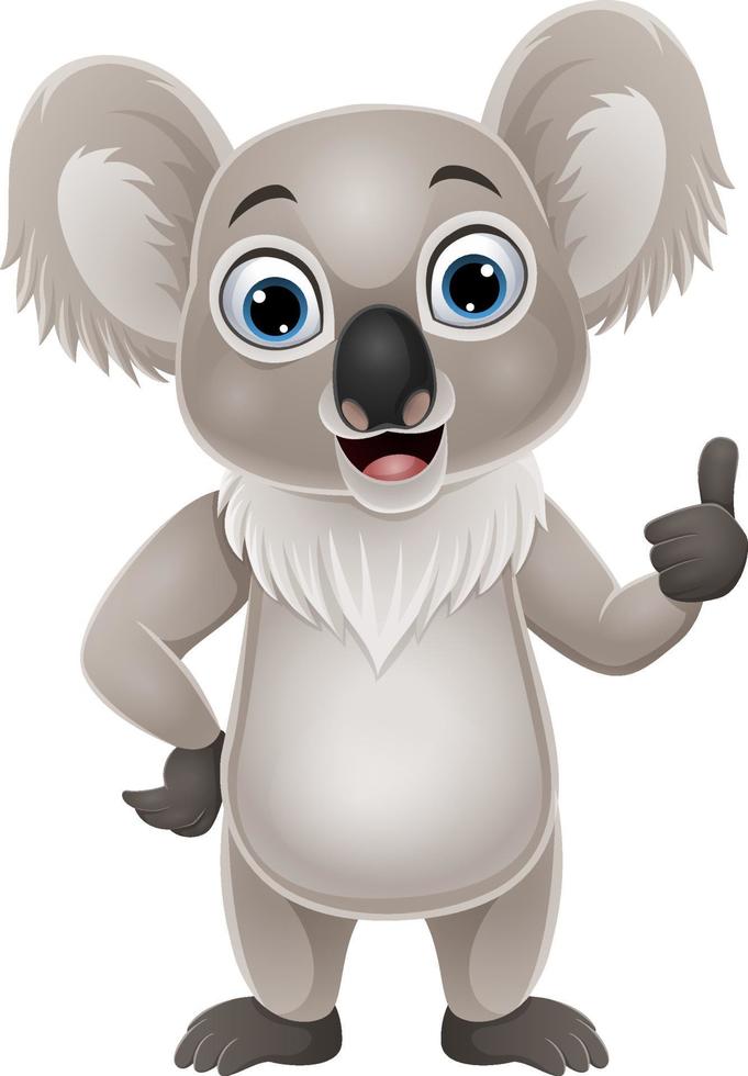 koala drôle de dessin animé donnant le pouce vers le haut vecteur