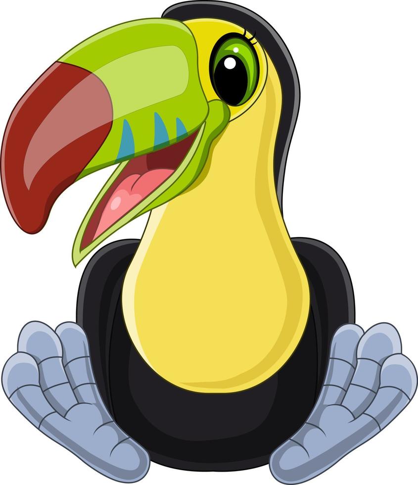 dessin animé mignon bébé toucan assis vecteur