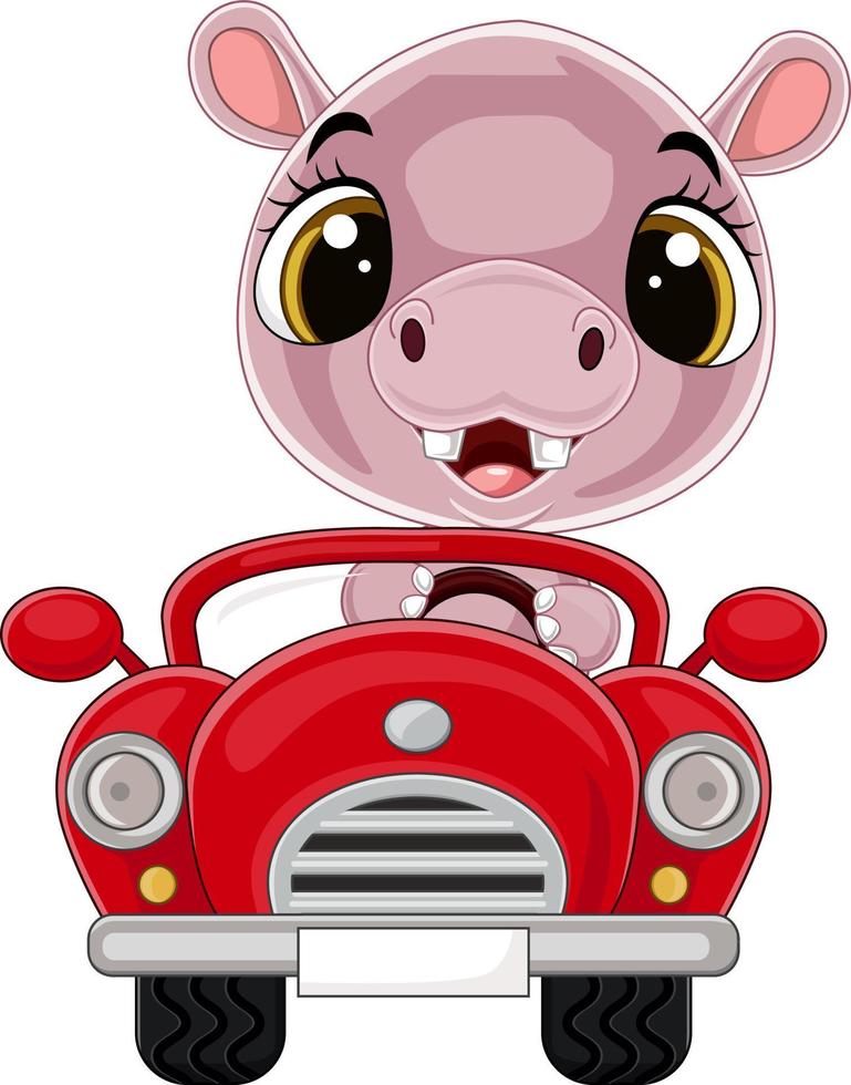 dessin animé bébé hippopotame conduisant une voiture rouge vecteur