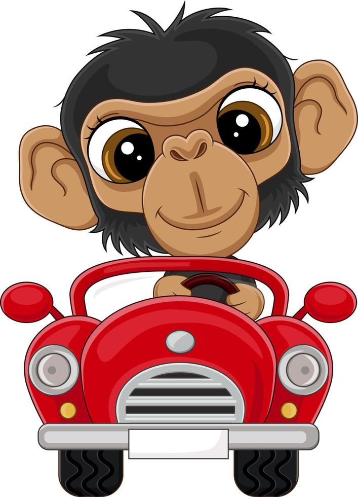 dessin animé bébé chimpanzé au volant d'une voiture rouge vecteur