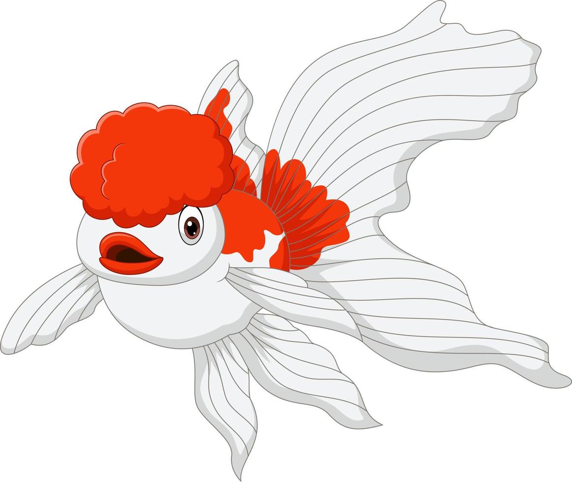 dessin animé poisson rouge oranda sur fond blanc vecteur