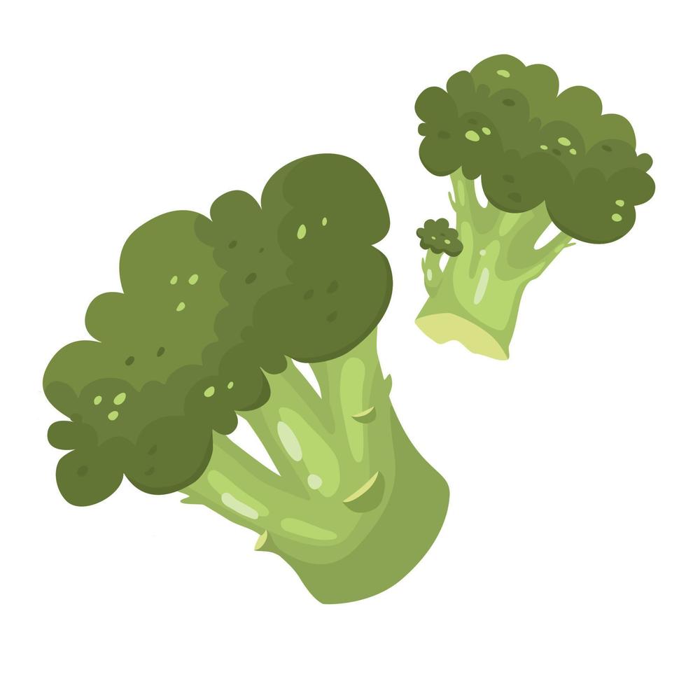 clipart frais coloré de brocoli. un ensemble de légumes brocoli sur fond blanc isolé. illustration vectorielle pour recettes, menus, conception de sites Web vecteur