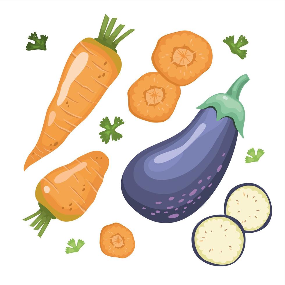 carottes et aubergines. légumes frais biologiques entiers et en section. nourriture saine, diététique et végétarienne. illustrations vectorielles pour les menus, les recettes vecteur