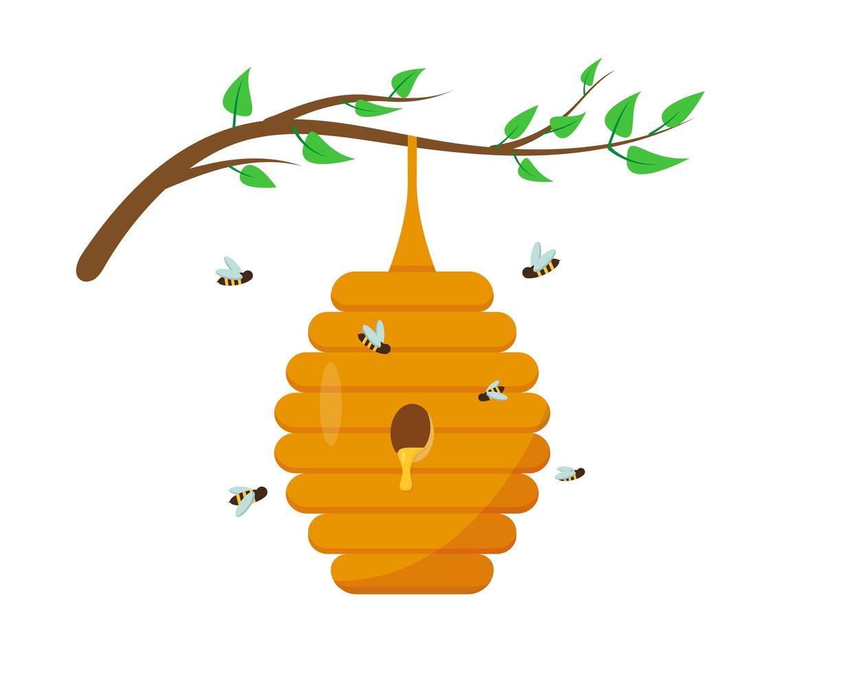 ruche d'abeilles avec du miel sur la branche d'arbre vecteur