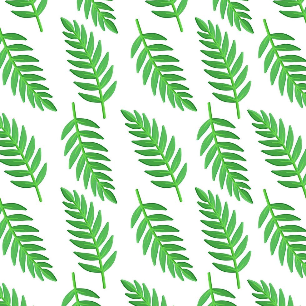 illustration vectorielle d'une impression de feuilles tropicales. répartis dans les ceintures tropicales, équatoriales et subéquatoriales. circulation générale de l'atmosphère. vecteur