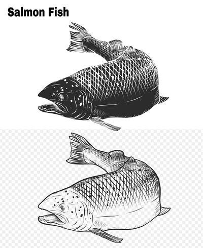 Art du saumon très détaillé dans un style d&#39;art en ligne vecteur
