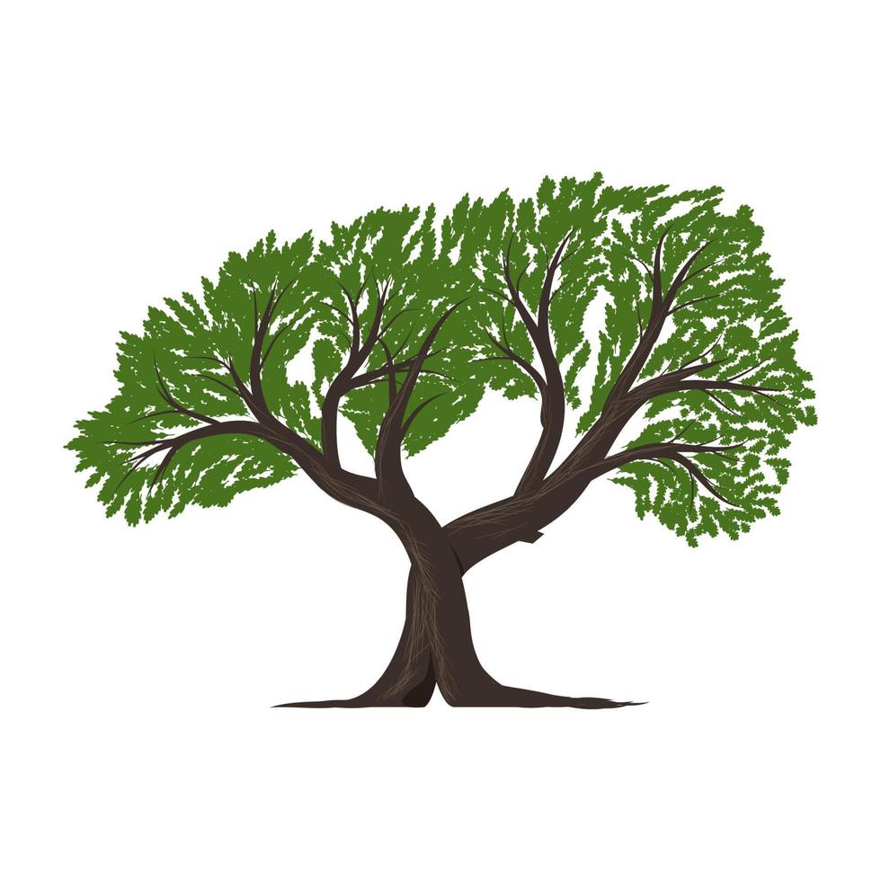 création de logo de chênes d'arbres - vecteur