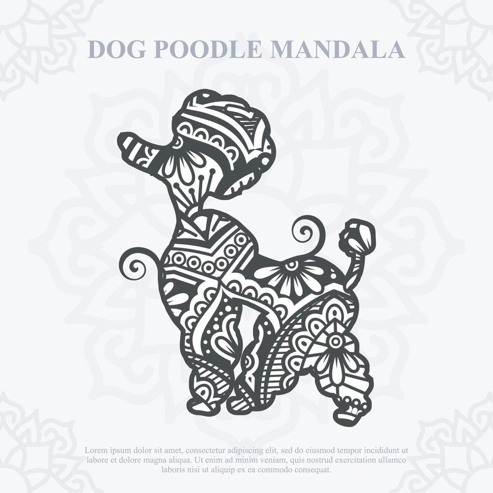 mandala de chien caniche. style bohème svg vecteur