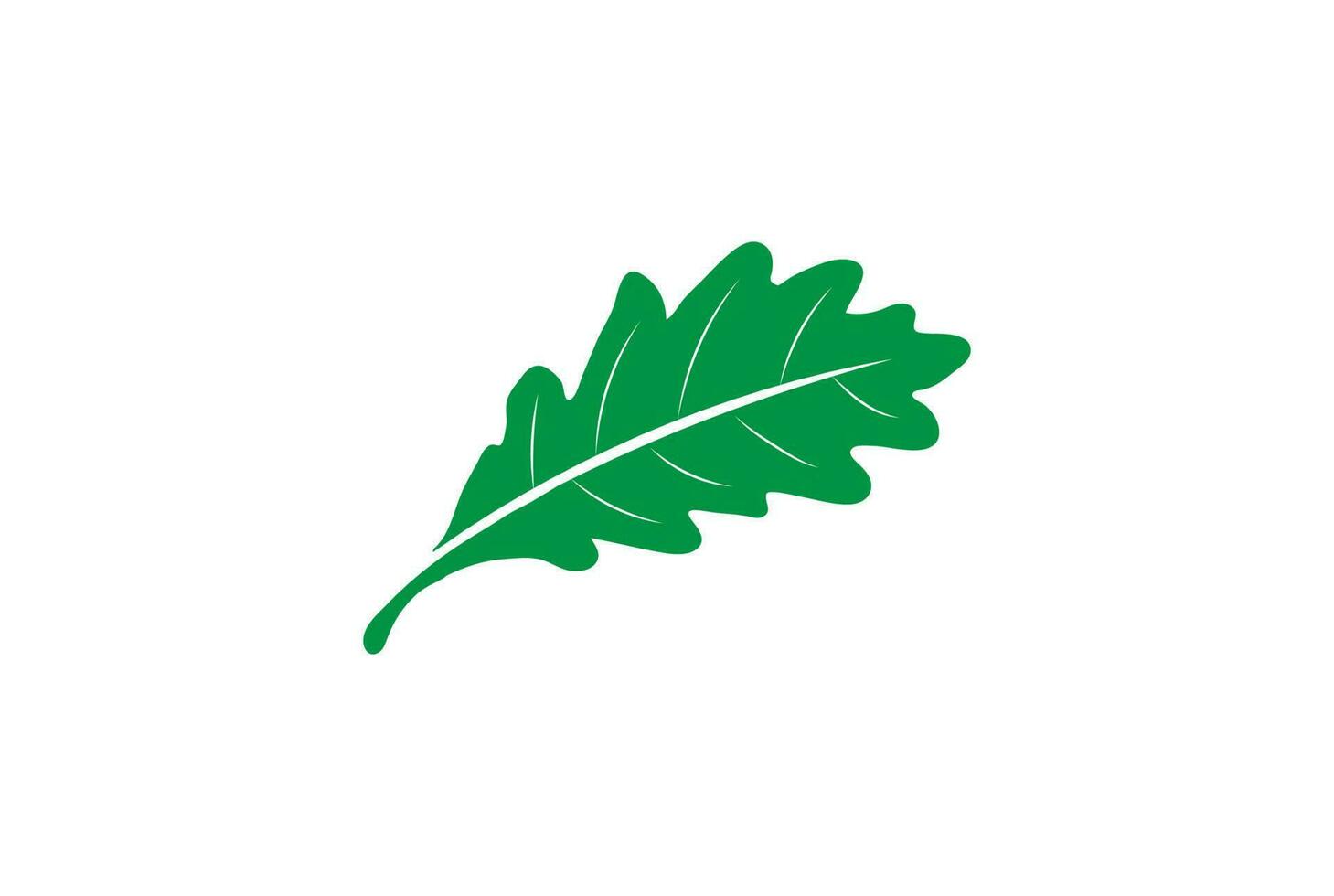 feuilles de chêne colorées étoile tourner vecteur de conception de logo