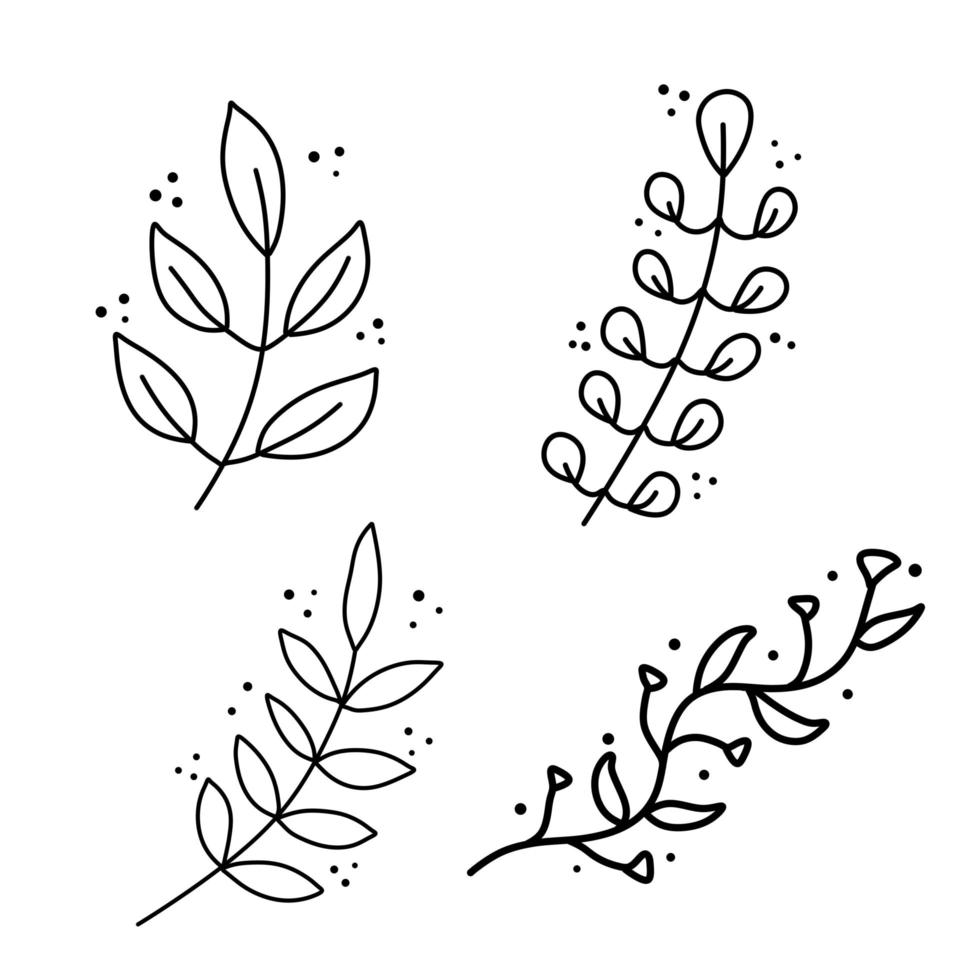 branche de plante. feuilles en style de ligne. illustration naturelle en noir et blanc. croquis minimalisme et flore simple. vecteur