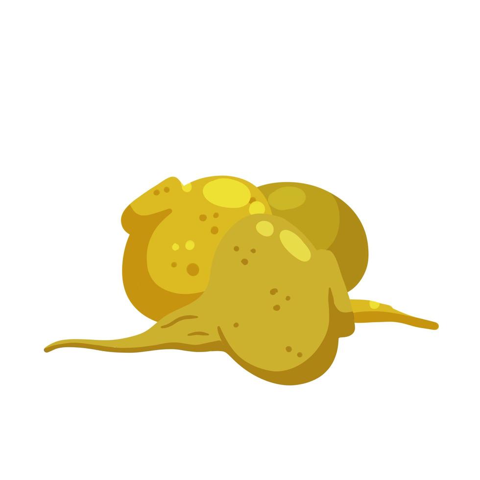 maca ou ginseng péruvien. légume jaune. racine de navet. dessin animé plat de la récolte. vecteur