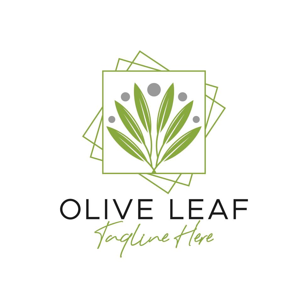 création de logo illustration inspiration feuille d'olivier vecteur