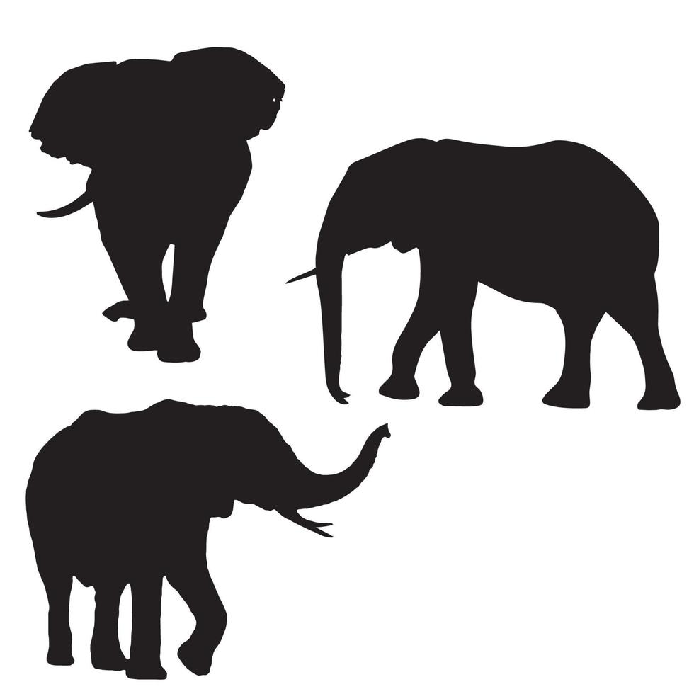 éléphants silhouette 1 vecteur