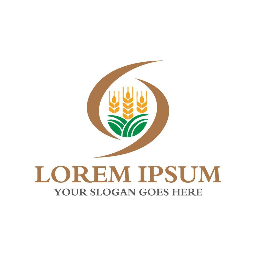 logo de grain, vecteur de logo d'agriculture